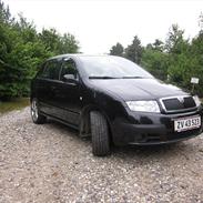 Skoda Fabia Ambiente 101