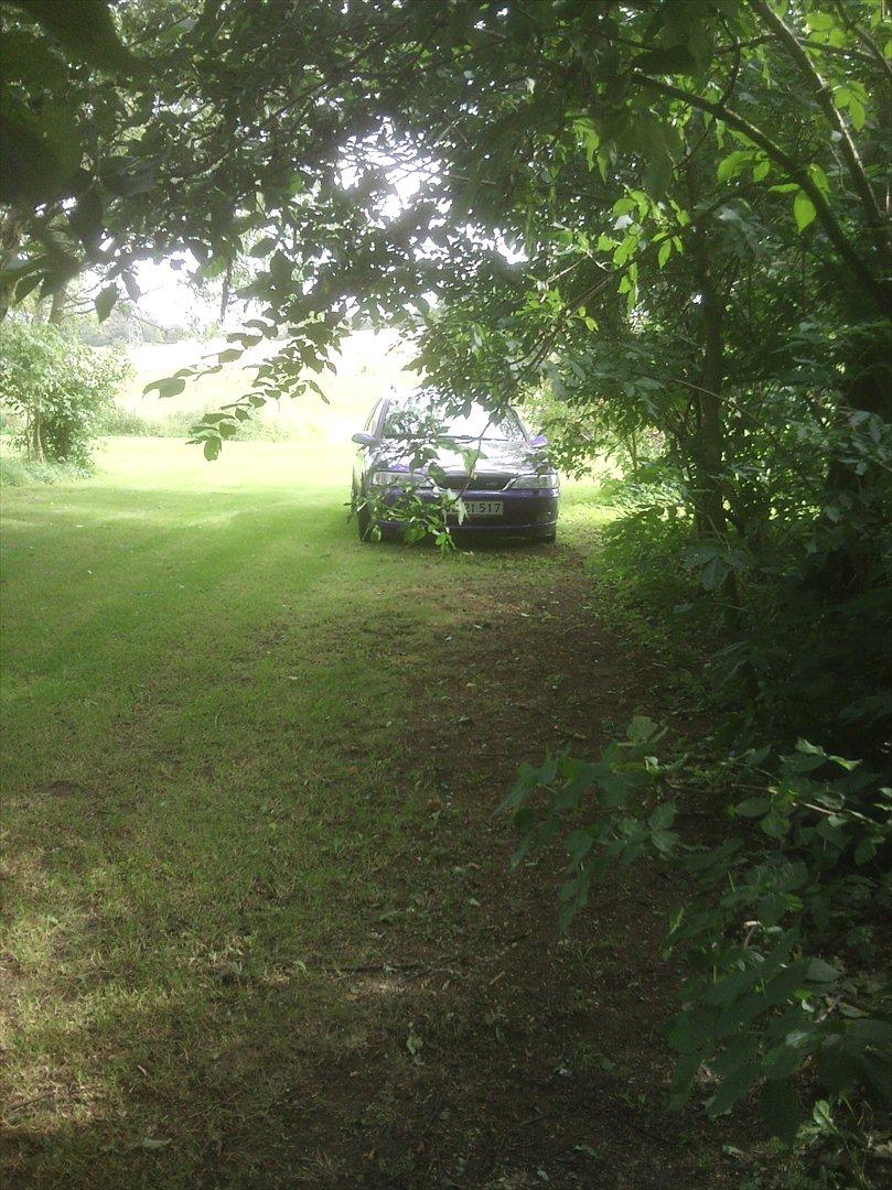 Opel vectra B R.I.P SPORT billede 18