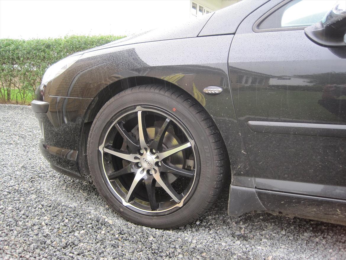 Peugeot 407 billede 19