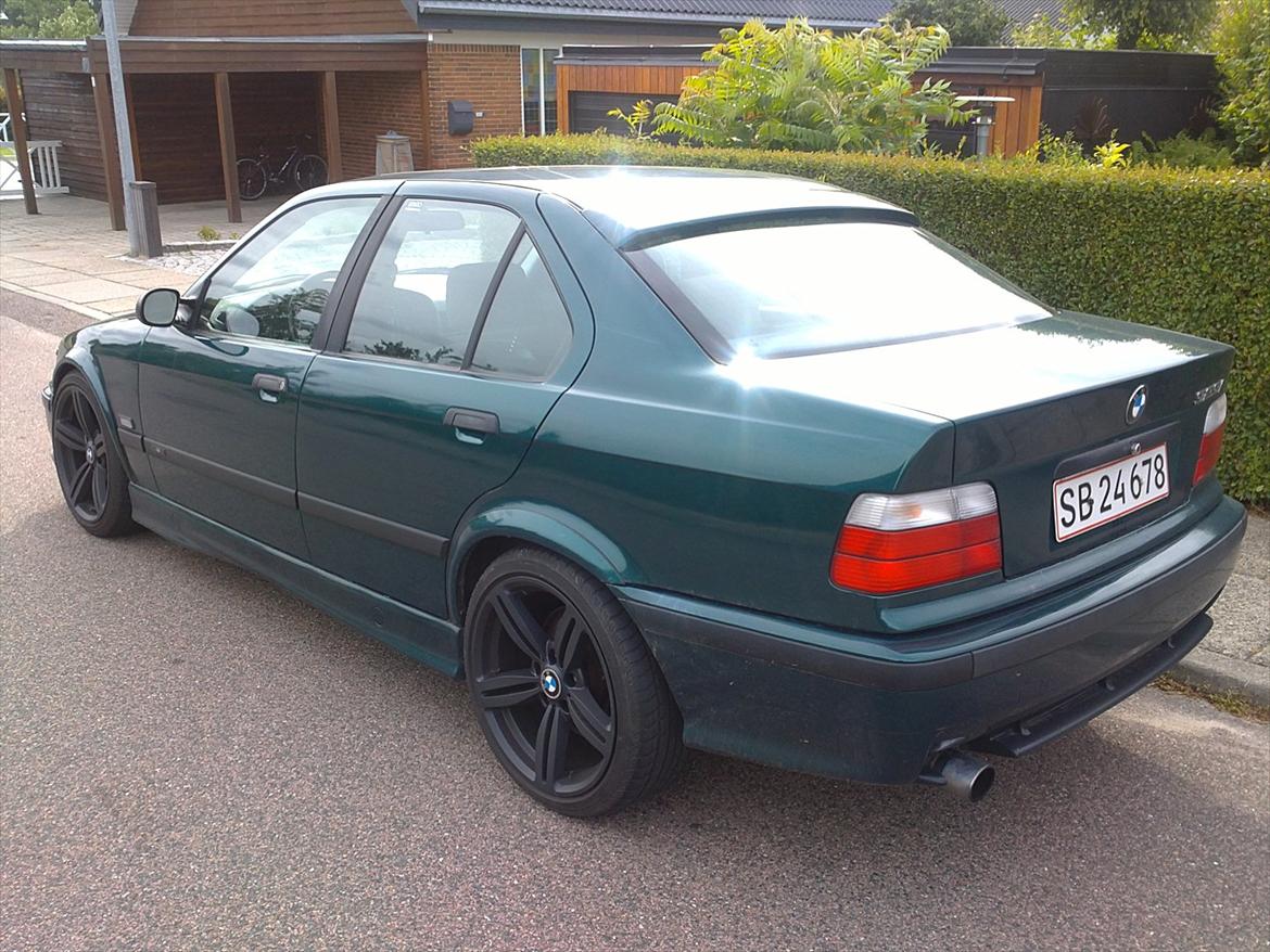 BMW 323i billede 5