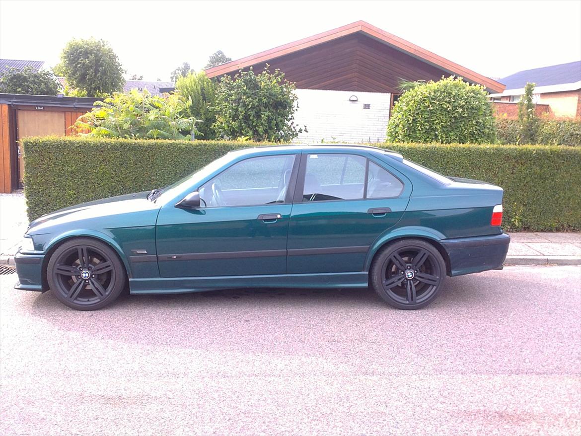 BMW 323i billede 6