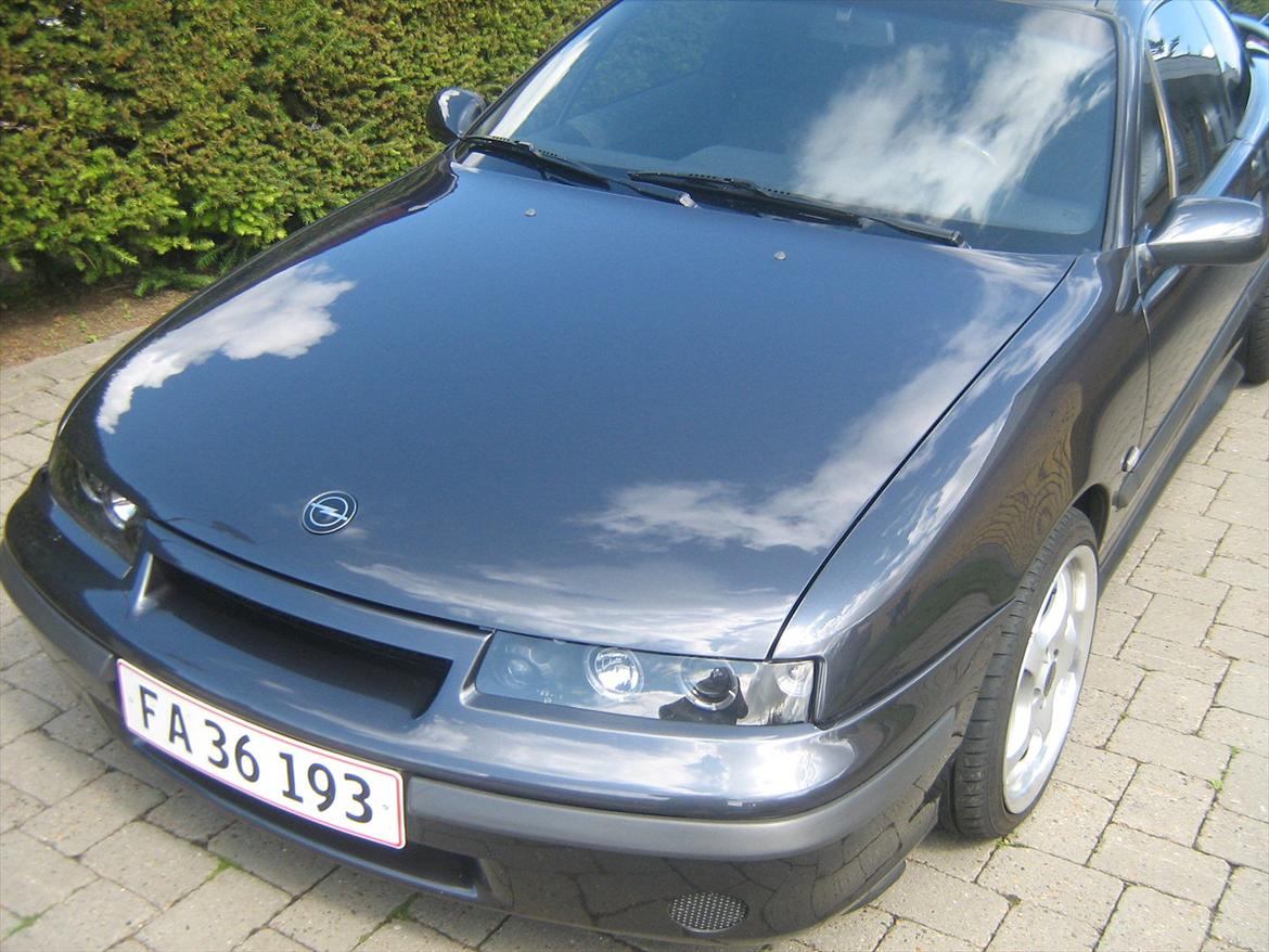 Opel calibra vinterhi billede 3