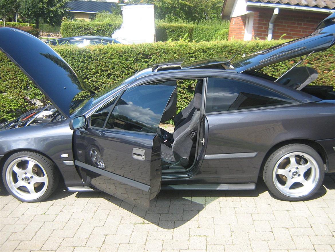 Opel calibra vinterhi billede 14