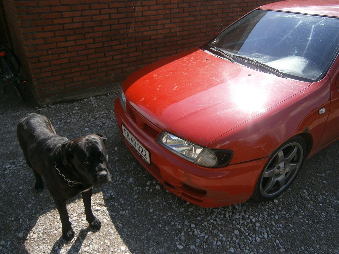 Nissan almera sr billede 11