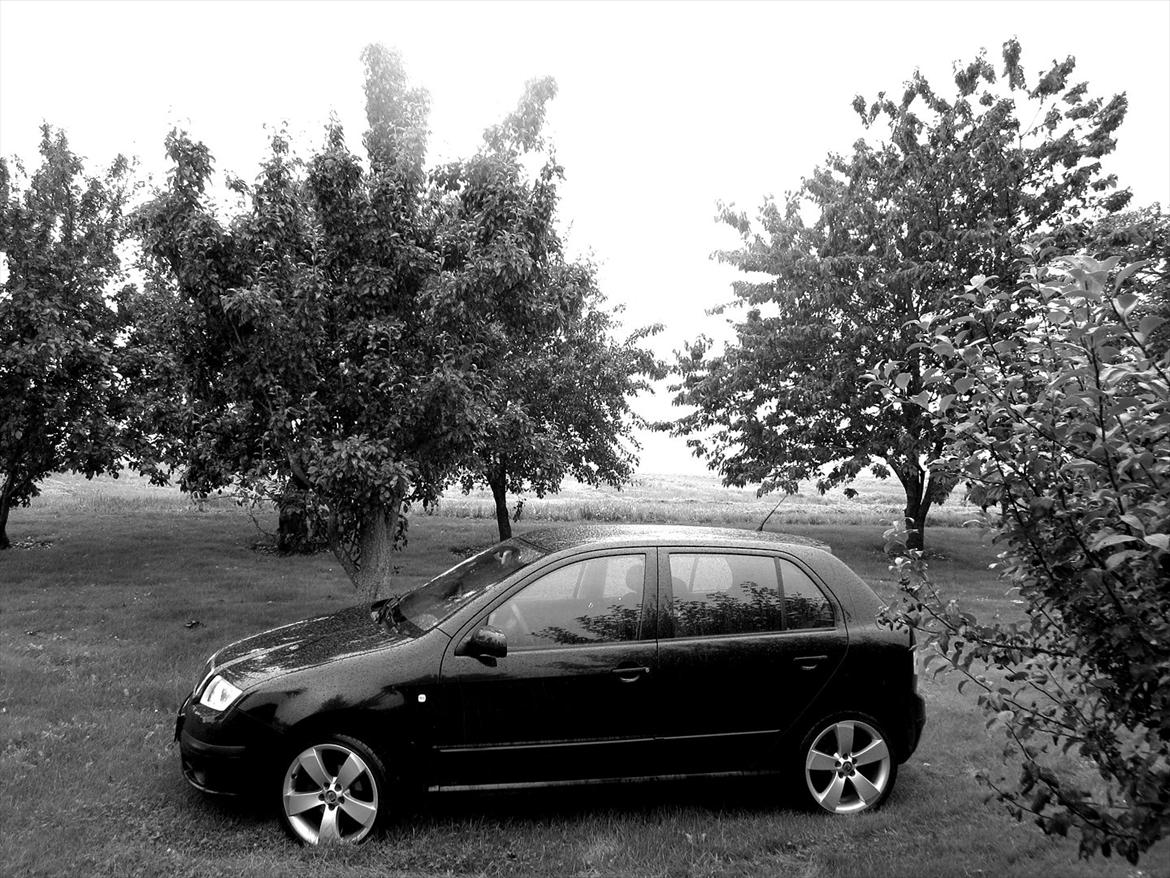Skoda Fabia Ambiente 101 billede 7