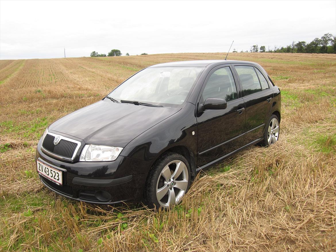 Skoda Fabia Ambiente 101 billede 1