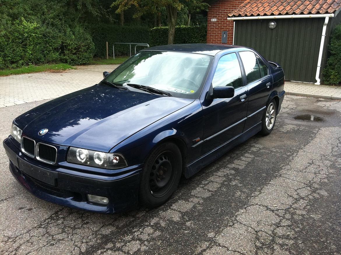 BMW E36 316i billede 8