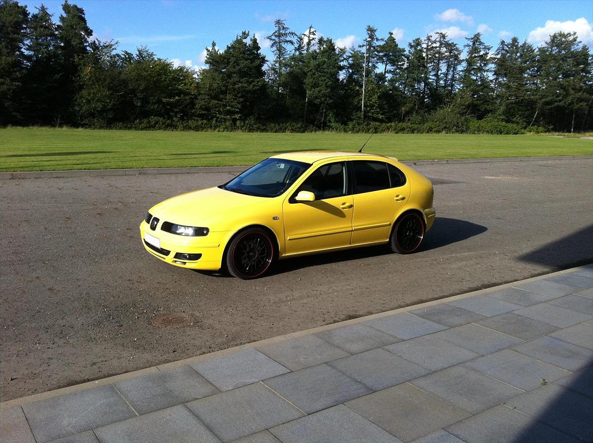 Seat Leon 4x4 1,8 20V Turbo billede 2