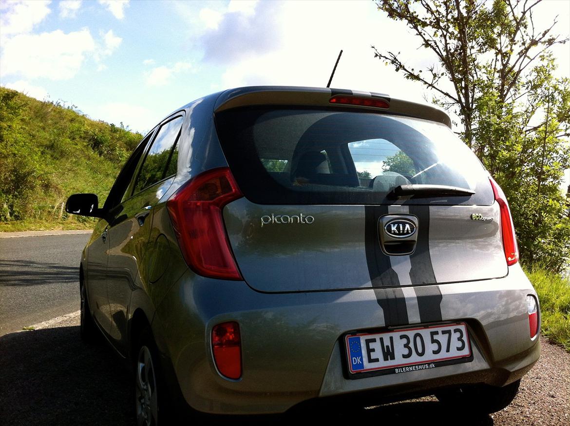 Kia Picanto - (solgt) billede 13