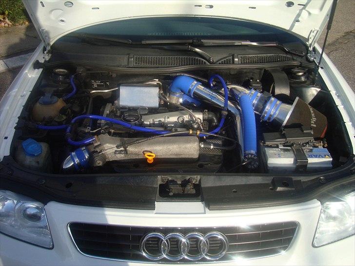 Audi A3 billede 14