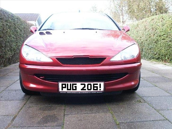 Peugeot 206 - Emblemfri Grill billede 9