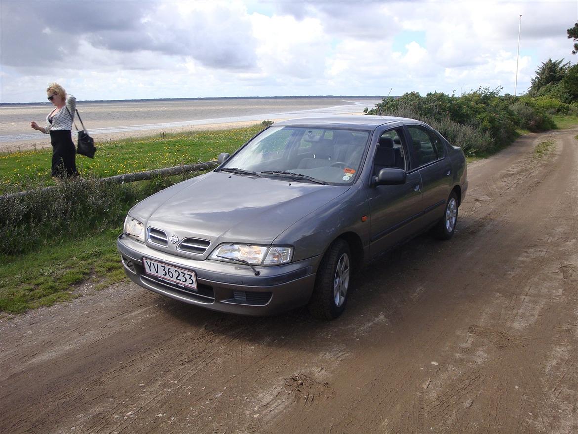 Nissan Primera 1,6 GX.  billede 14