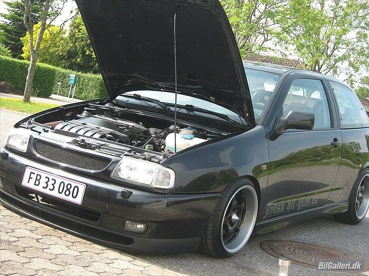 Seat Ibiza Cupra Vr6 billede 2