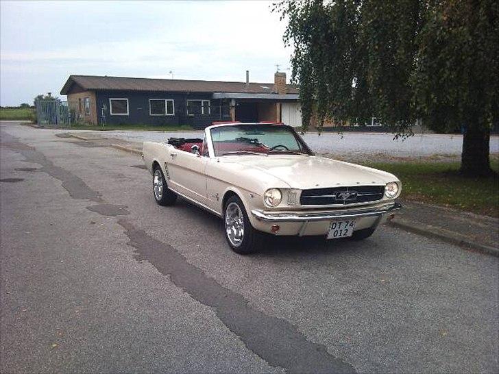 Ford Mustang Cabriolet billede 18