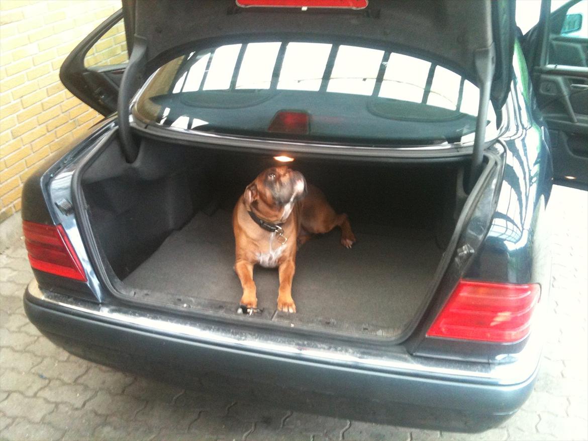 Mercedes Benz E 300 billede 20