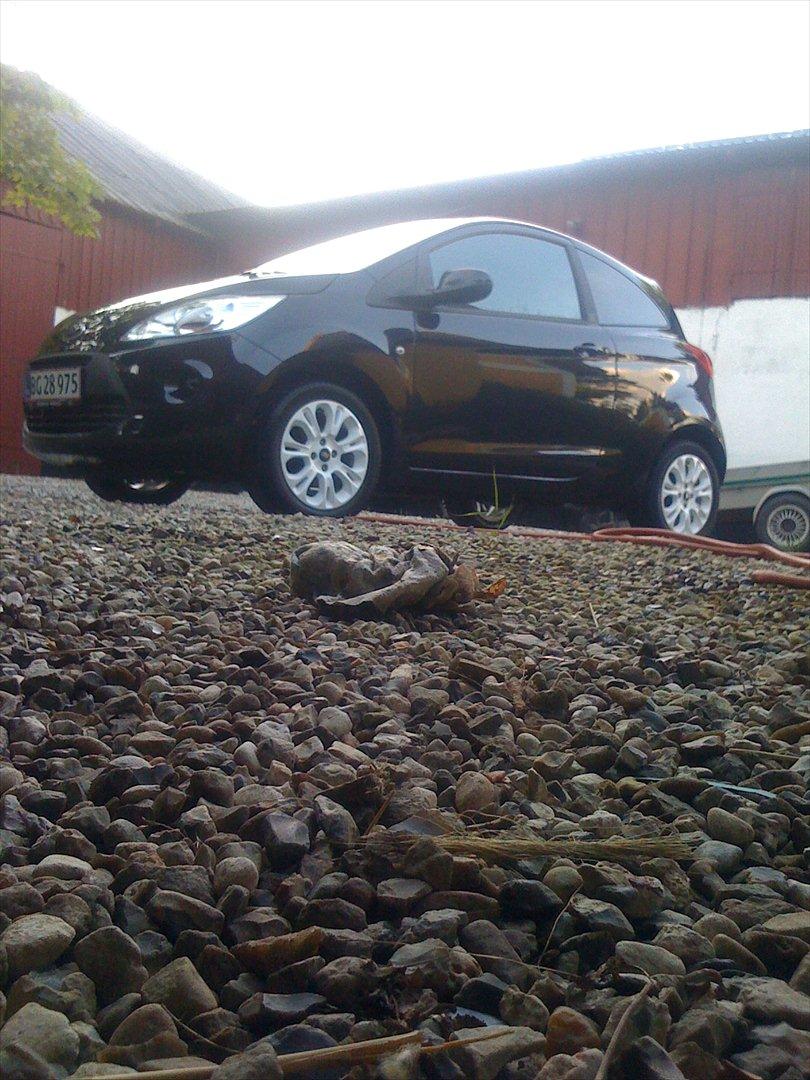 Ford Ka billede 6