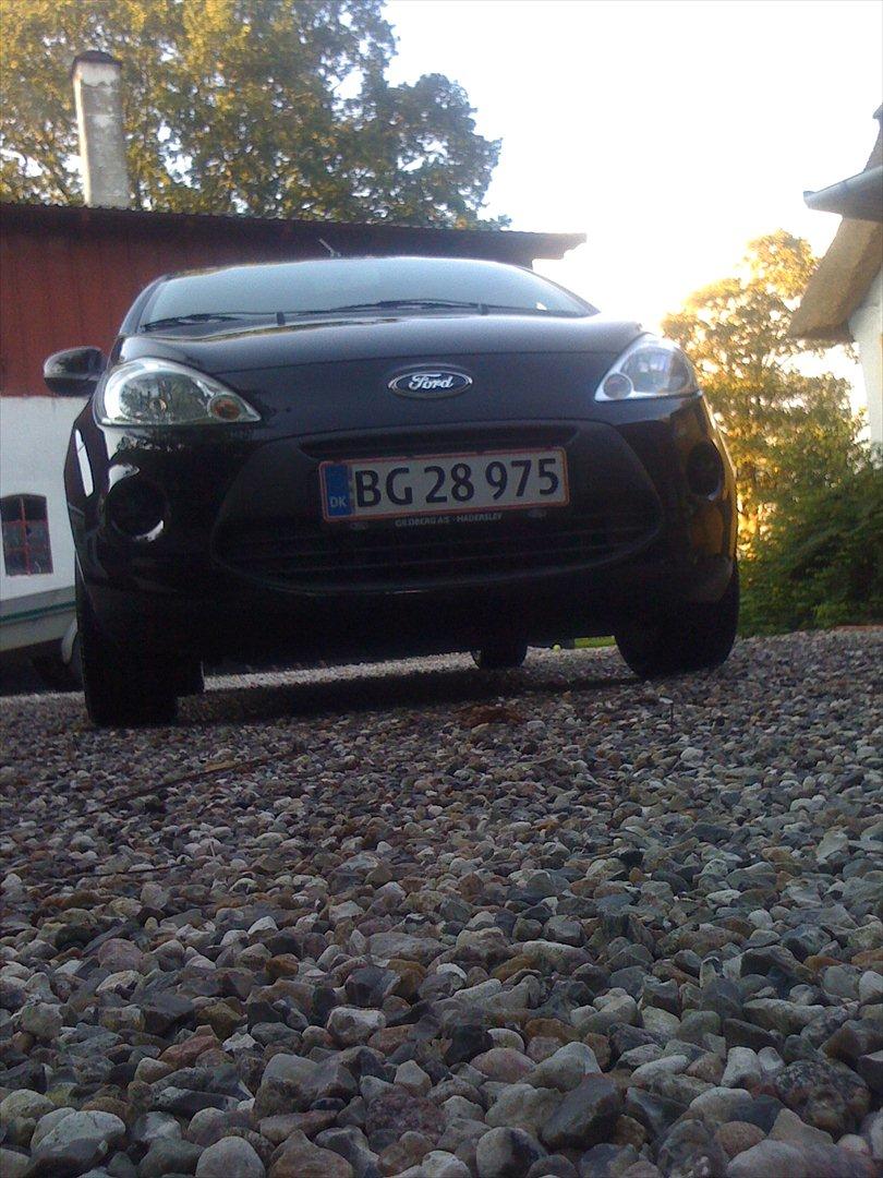 Ford Ka billede 9