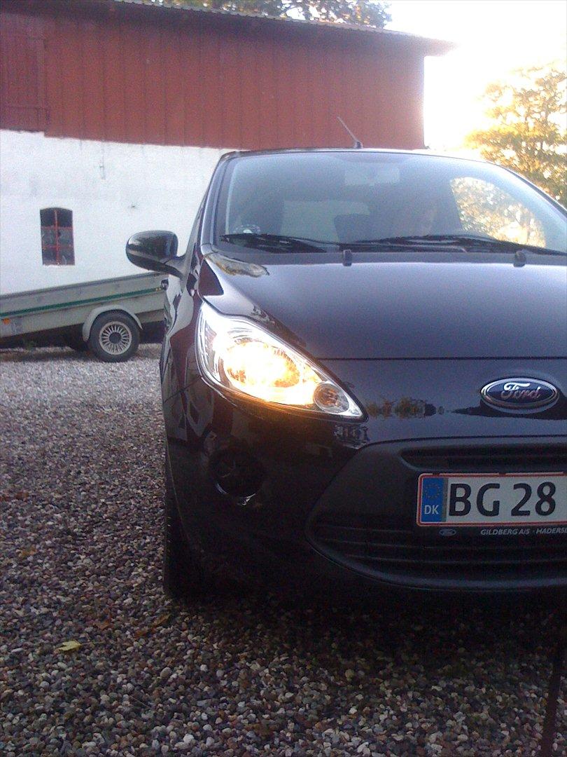 Ford Ka billede 11