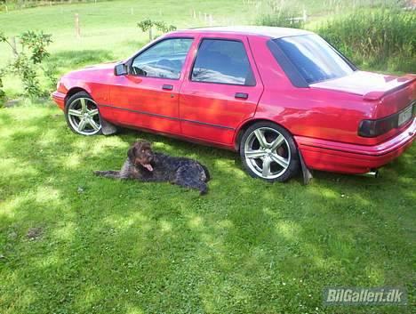 Ford SIERRA GT (SOLGT) billede 4