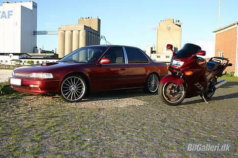 Honda accord billede 11