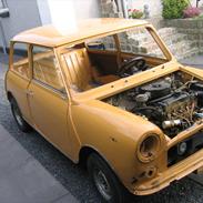 Austin-Morris mascot