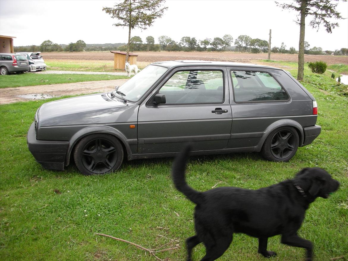 VW golf 1,8 gti 8 v billede 12