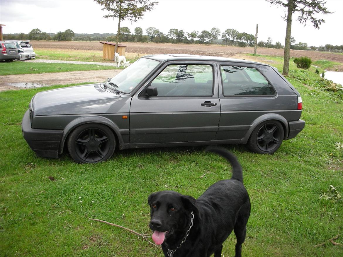 VW golf 1,8 gti 8 v billede 13