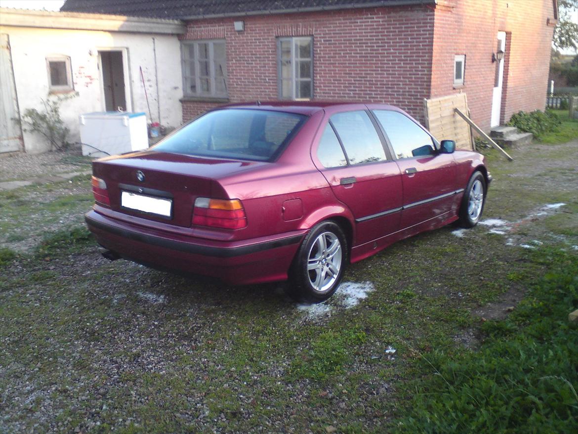 BMW e36 325i vanos billede 13