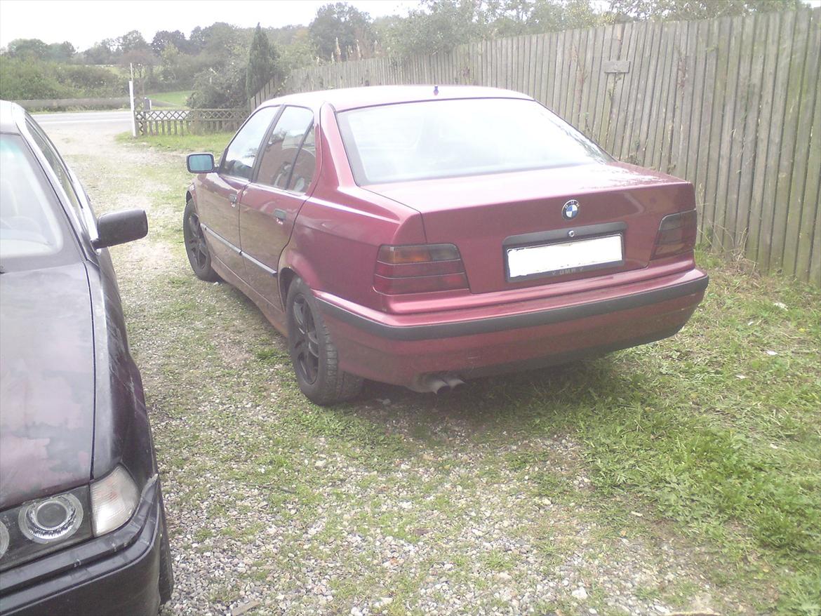 BMW e36 325i vanos billede 14