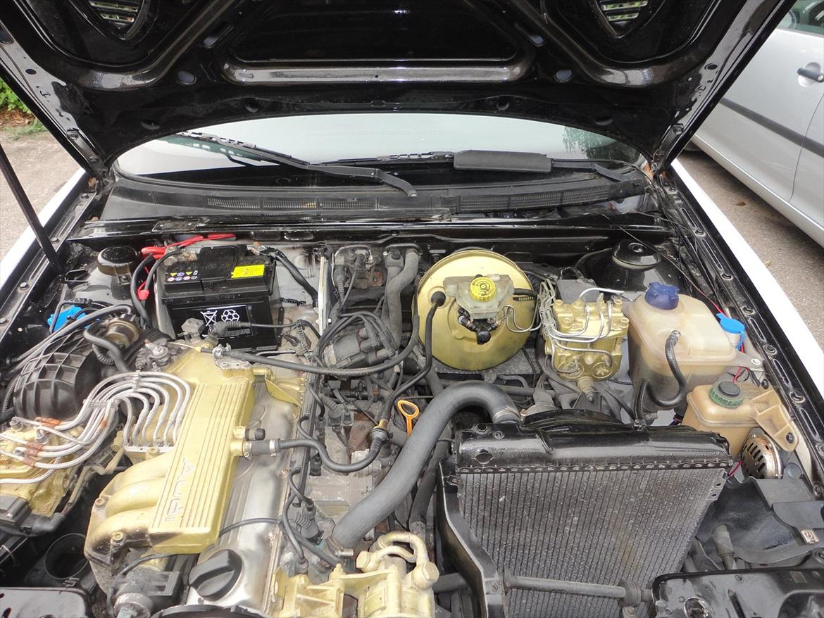 Audi 80 CABRIO THE ONE AND ONLY billede 17