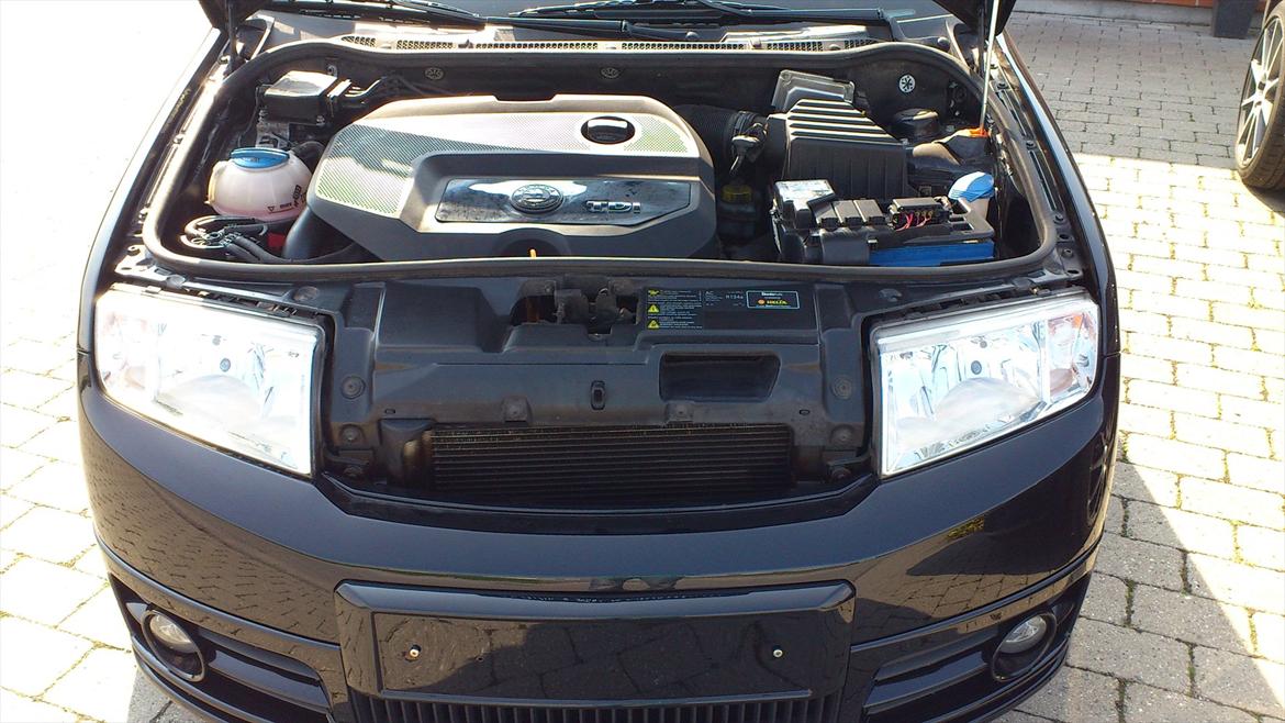 Skoda El Fabioso vRS billede 3