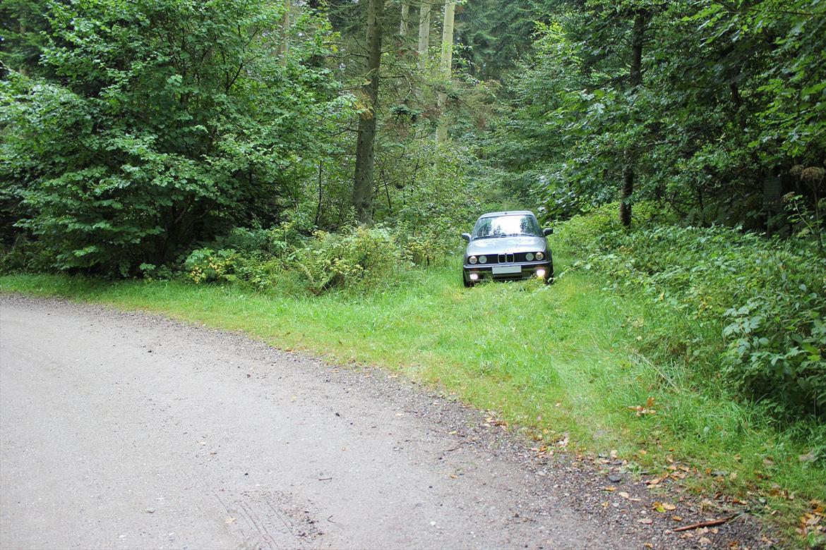 BMW E30 320i Touring billede 15