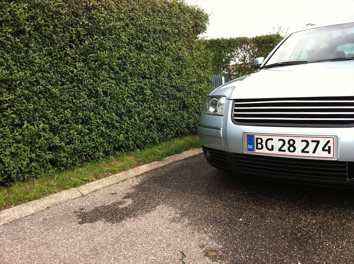 VW Passat 3BG =SOLGT= billede 4