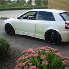 Audi A3 1.8T (SOLGT)