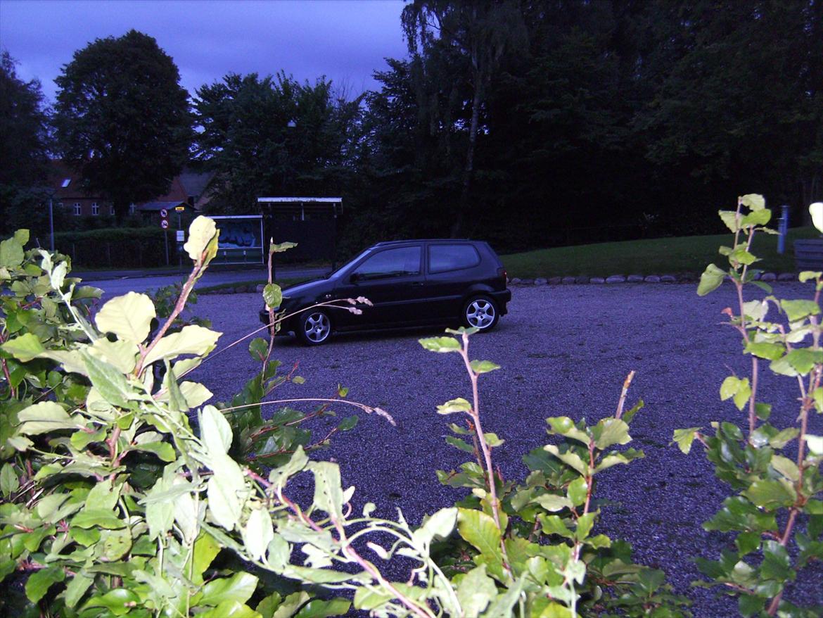 VW Polo 1.6 Open Air billede 5