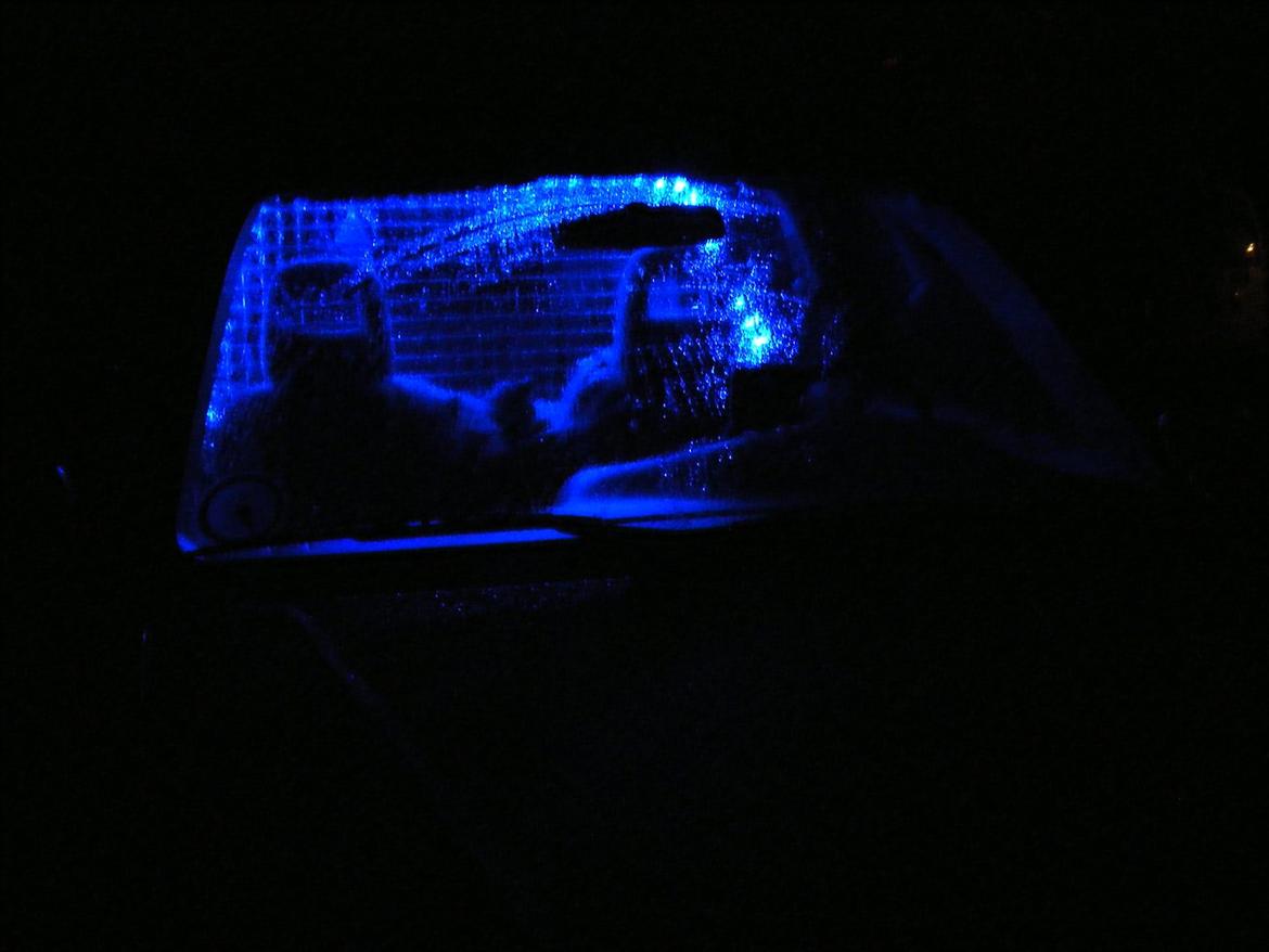 Suzuki XL 7 billede 7