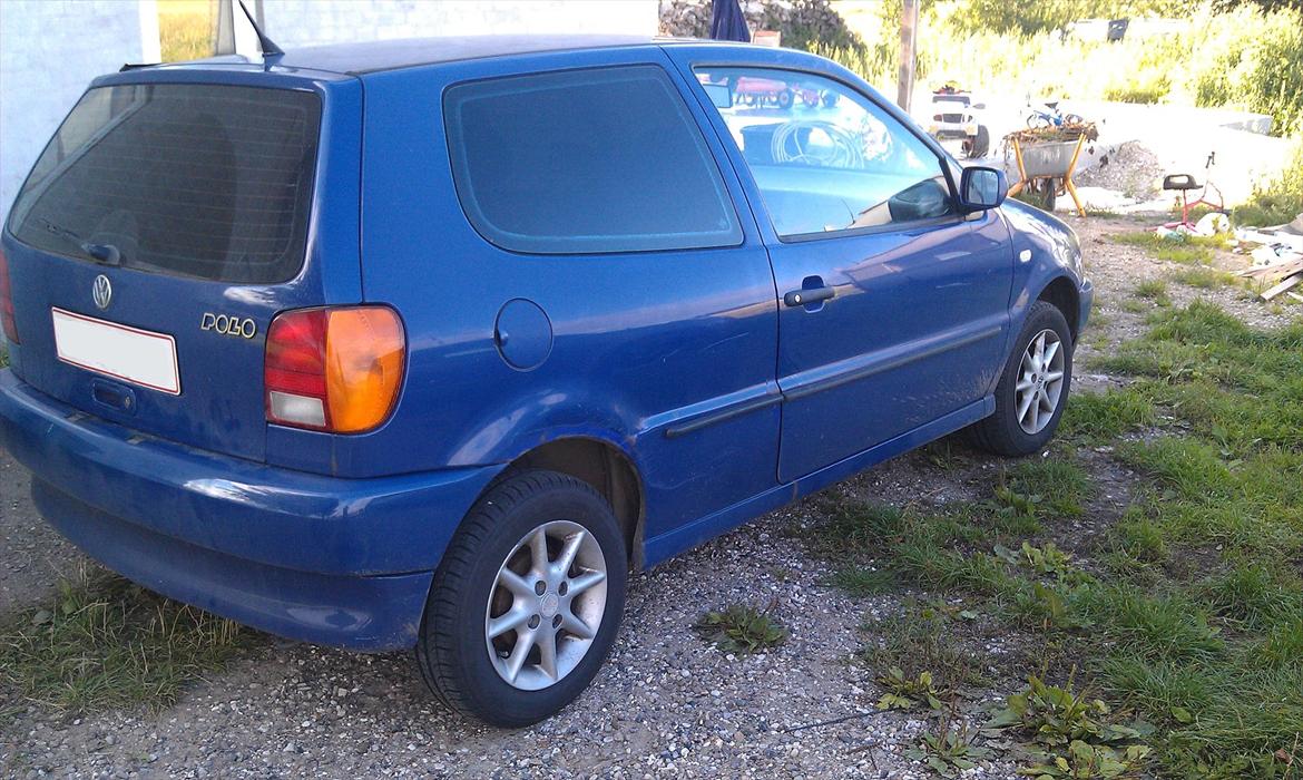 VW polo 6n billede 4