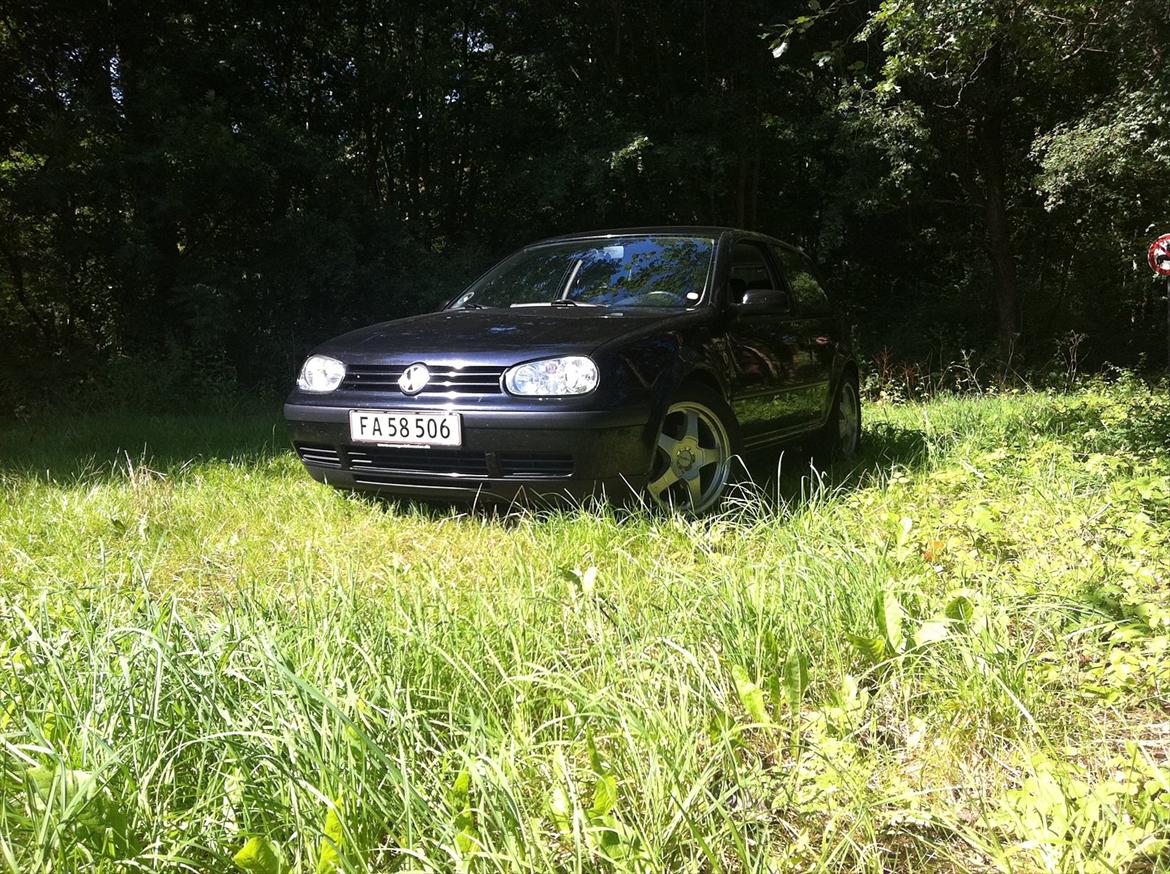 VW Golf 4 2.0 Trendline billede 1