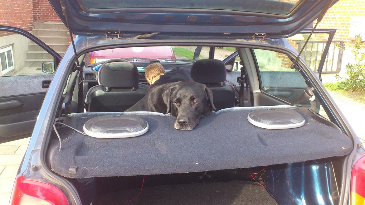 Ford Fiesta Sport billede 19