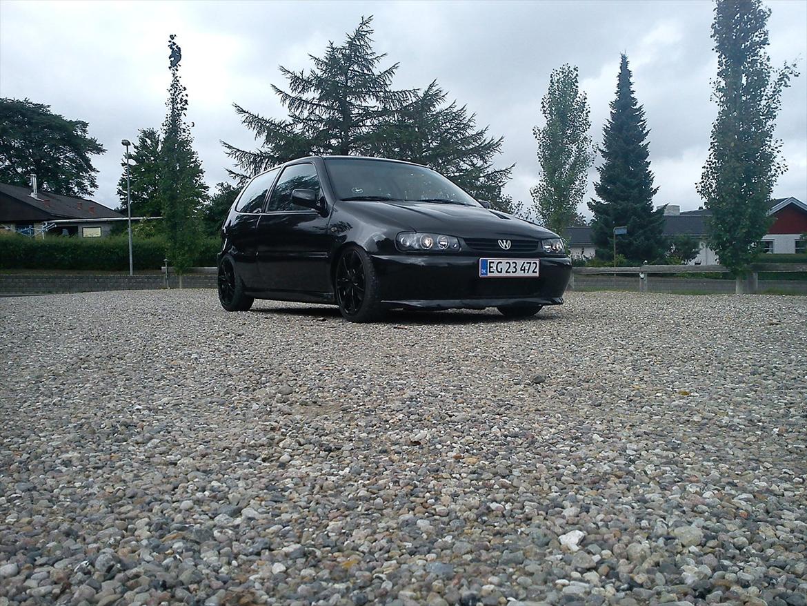 VW projekt polo 6n billede 1