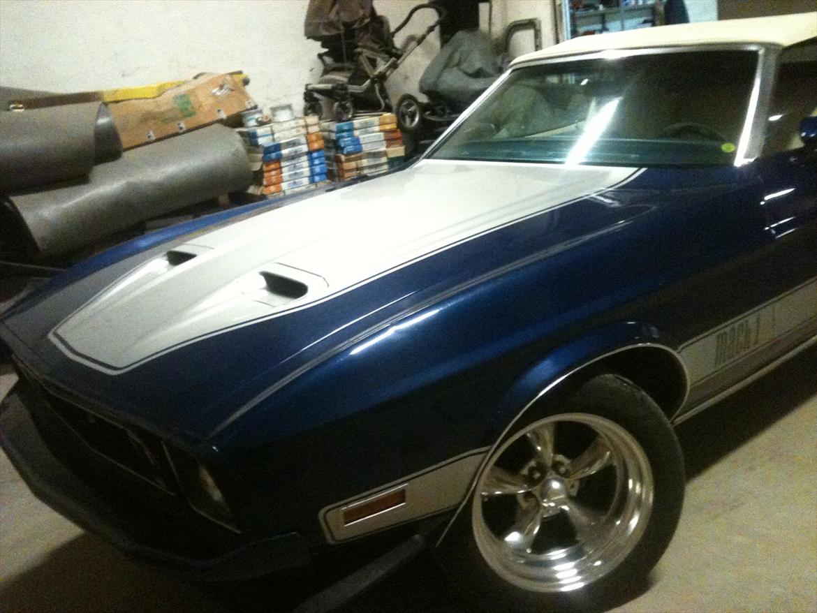 Ford Mustang Cab. billede 1