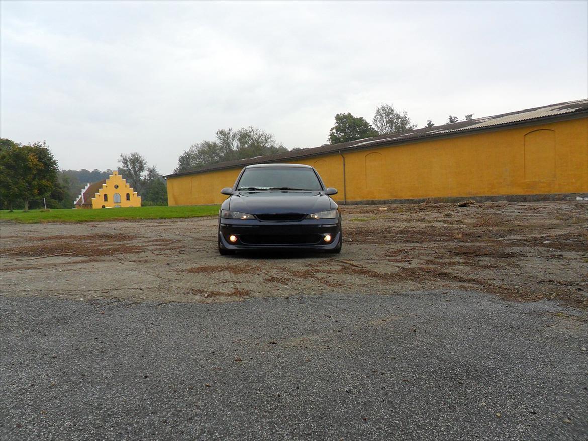 Opel Vectra B lambo billede 1