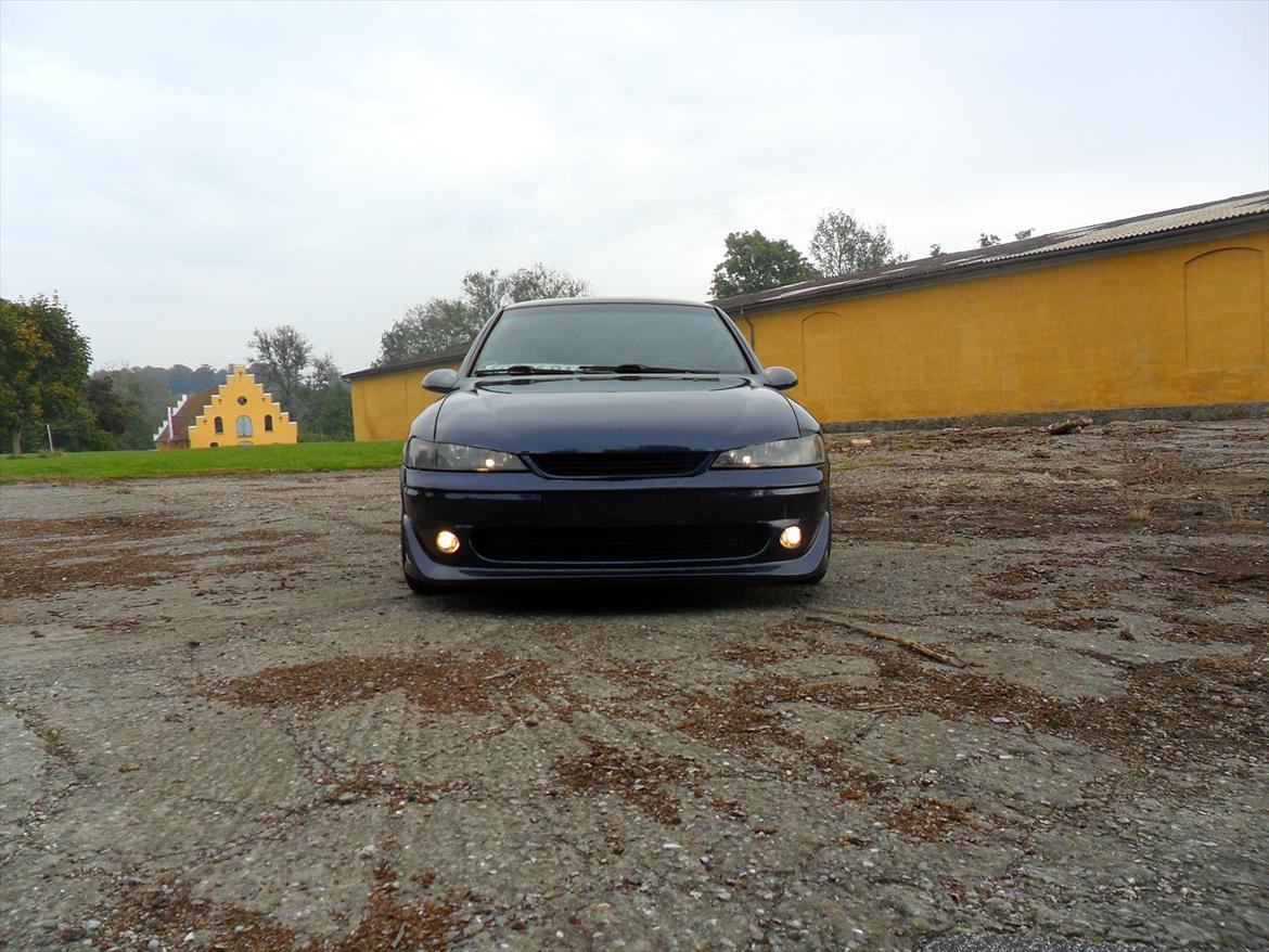 Opel Vectra B lambo billede 2