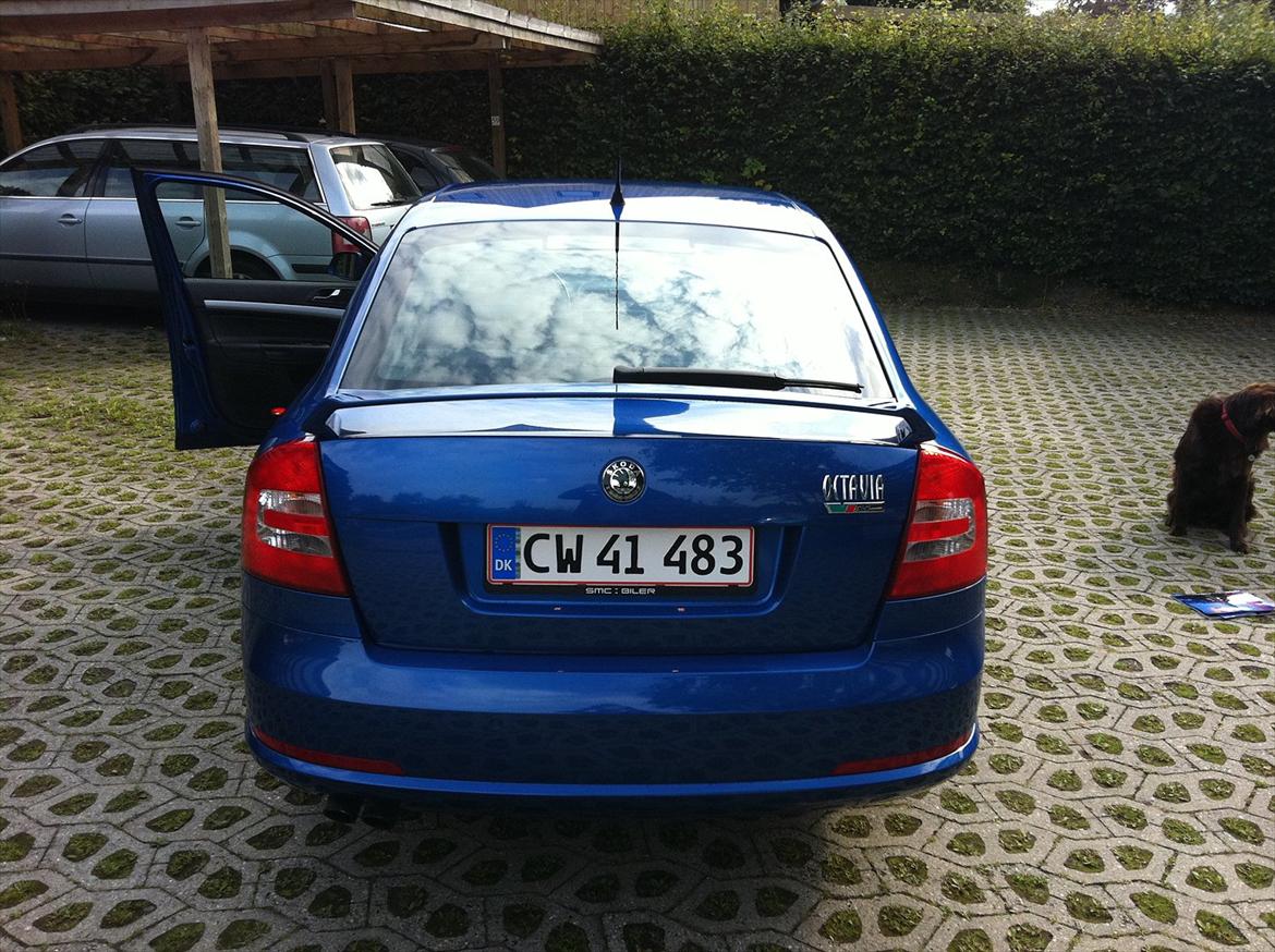 Skoda Octavia RS billede 15