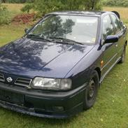 Nissan Primera