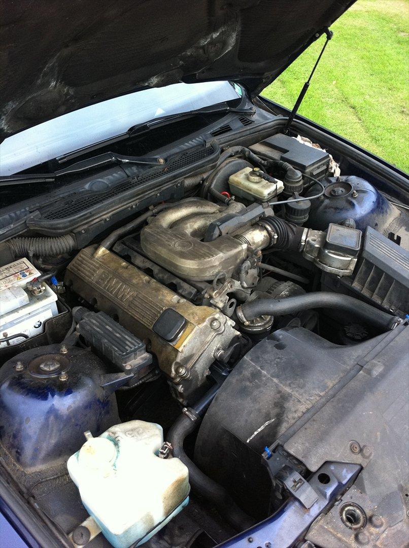 BMW E36 billede 7