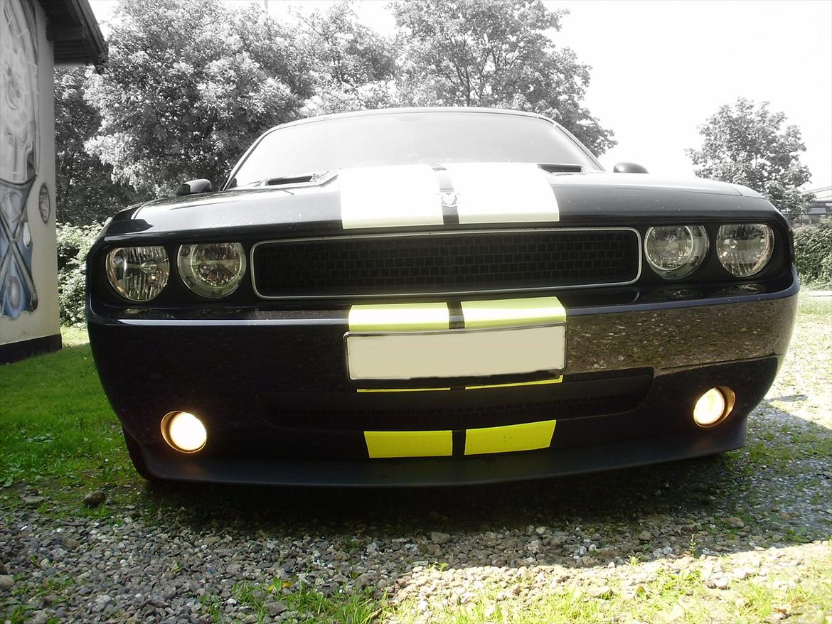 Dodge Challenger [Tidl. bil] billede 2
