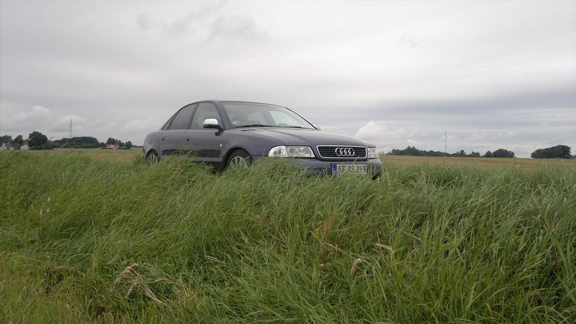 Audi A4 (B5) *solgt* billede 15