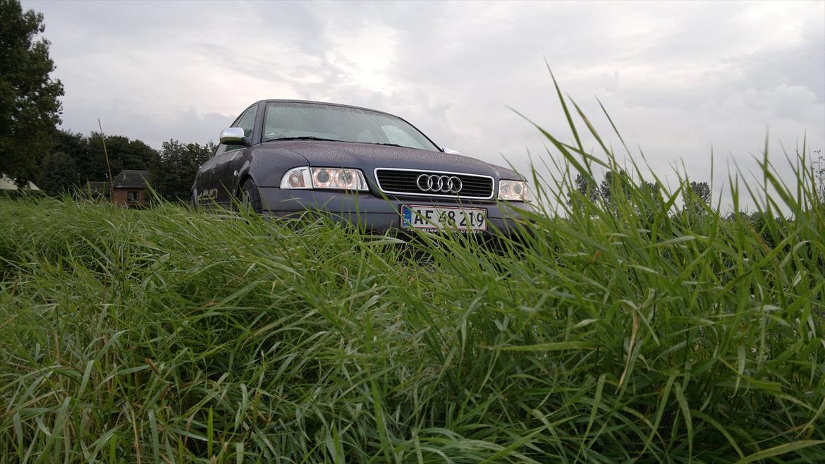 Audi A4 (B5) *solgt* billede 16