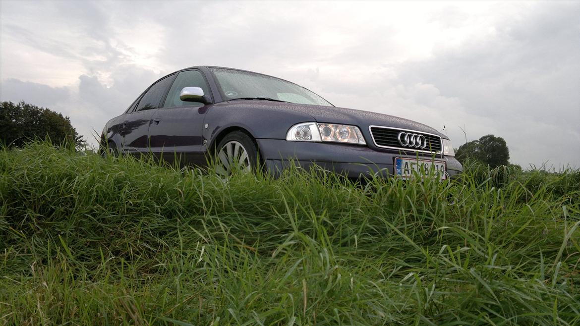 Audi A4 (B5) *solgt* billede 17